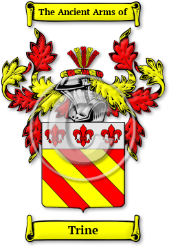 Trine Family Crest Download (jpg) Legacy Series - 150 DPI