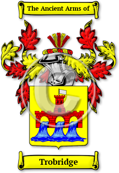 Trobridge Family Crest Download (jpg) Legacy Series - 150 DPI