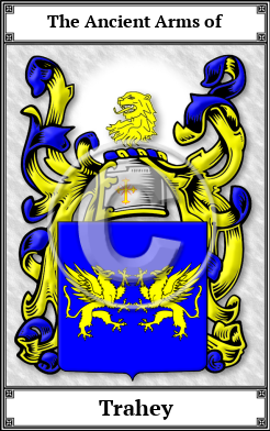 Trahey Family Crest Download (JPG)  Book Plated - 150 DPI