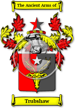Trubshaw Family Crest Download (jpg) Legacy Series - 150 DPI