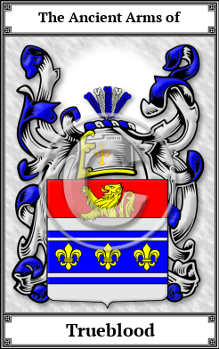 Trueblood Family Crest Download (JPG)  Book Plated - 150 DPI