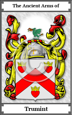 Trumint Family Crest Download (JPG) Book Plated - 600 DPI