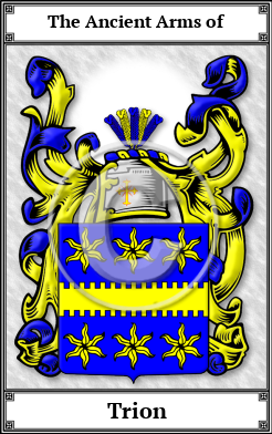 Trion Family Crest Download (JPG) Book Plated - 600 DPI