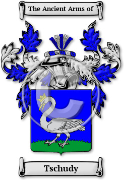 Tschudy Family Crest Download (JPG) Legacy Series - 600 DPI