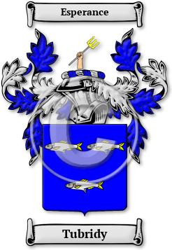 Tubridy Family Crest Download (jpg) Legacy Series - 150 DPI