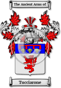 Tucciarone Family Crest Download (jpg) Legacy Series - 150 DPI