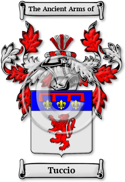 Tuccio Family Crest Download (jpg) Legacy Series - 150 DPI