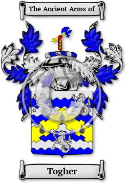 Togher Family Crest Download (jpg) Legacy Series - 150 DPI