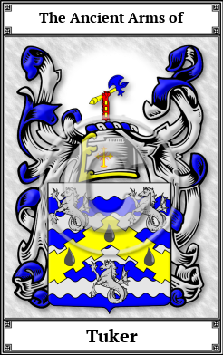 Tuker Family Crest Download (JPG)  Book Plated - 150 DPI