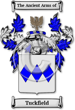 Tuckfield Family Crest Download (JPG) Legacy Series - 600 DPI