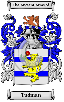 Tudman Family Crest Download (JPG) Heritage Series - 300 DPI