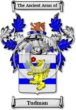 Tudman Family Crest Download (jpg) Legacy Series - 150 DPI