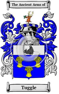 Tuggle Name Meaning, Family History, Family Crest & Coats of Arms