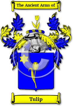 Tulip Family Crest Download (JPG) Legacy Series - 300 DPI