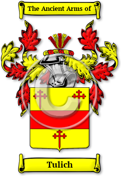 Tulich Family Crest Download (JPG) Legacy Series - 600 DPI