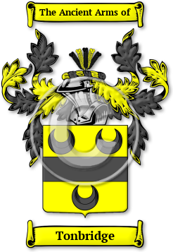 Tonbridge Family Crest Download (jpg) Legacy Series - 150 DPI