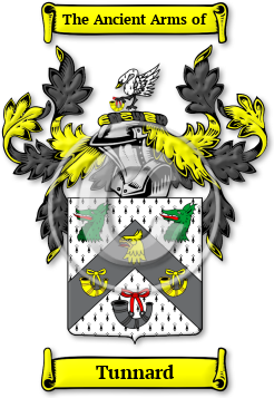 Tunnard Family Crest Download (jpg) Legacy Series - 150 DPI