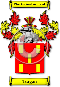 Turgan Family Crest Download (jpg) Legacy Series - 150 DPI