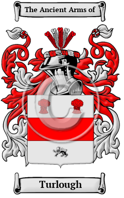 Turlough Family Crest Download (JPG) Heritage Series - 600 DPI