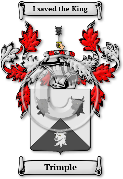 Trimple Family Crest Download (jpg) Legacy Series - 150 DPI