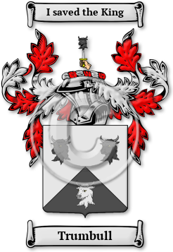 Trumbull Family Crest Download (jpg) Legacy Series - 150 DPI