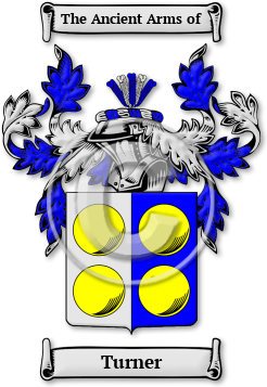 Turner Family Crest Download (jpg) Legacy Series - 150 DPI