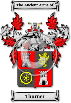 Thurner Family Crest Download (JPG) Legacy Series - 600 DPI
