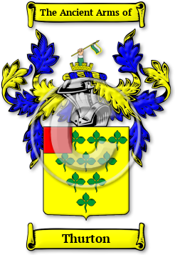 Thurton Family Crest Download (JPG) Legacy Series - 600 DPI