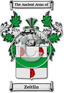 Zeitlin Family Crest Download (jpg) Legacy Series - 150 DPI