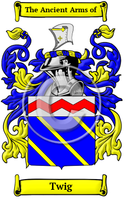 Twig Family Crest Download (JPG) Heritage Series - 600 DPI