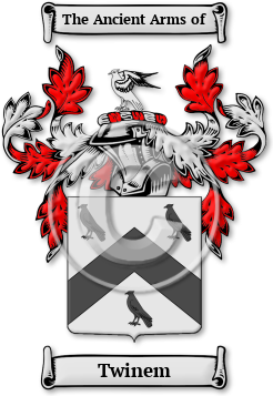 Twinem Family Crest Download (jpg) Legacy Series - 150 DPI
