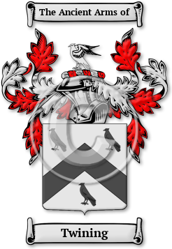 Twining Family Crest Download (jpg) Legacy Series - 150 DPI