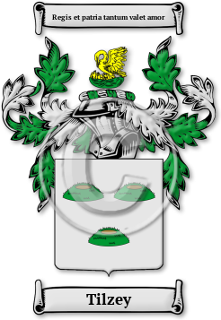 Tilzey Family Crest Download (jpg) Legacy Series - 150 DPI