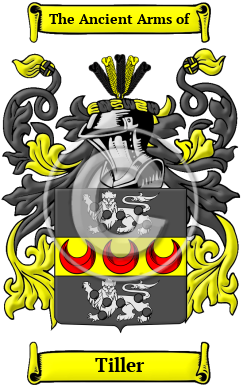 Tiller Family Crest Download (JPG) Heritage Series - 600 DPI