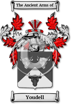 Youdell Family Crest Download (jpg) Legacy Series - 150 DPI