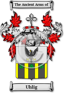 Uhlig Family Crest Download (jpg) Legacy Series - 150 DPI