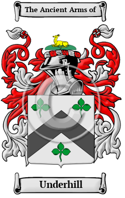 Underhill Name Meaning, Family History, Family Crest & Coats of Arms