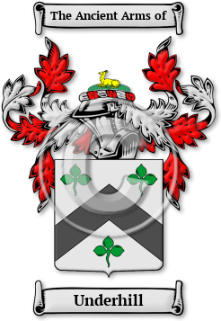 Underhill Family Crest Download (jpg) Legacy Series - 150 DPI