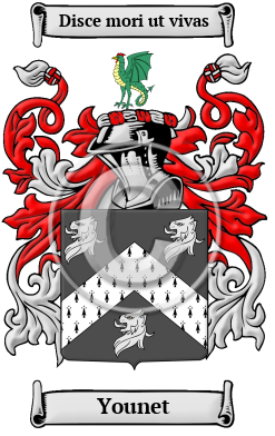 Younet Family Crest Download (JPG) Heritage Series - 600 DPI