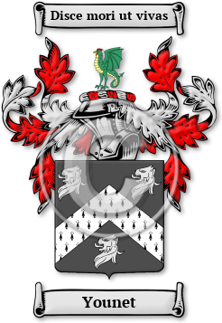 Younet Family Crest Download (jpg) Legacy Series - 150 DPI