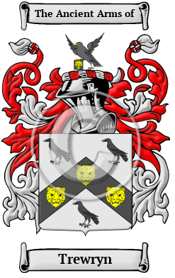 Trewryn Family Crest/Coat of Arms