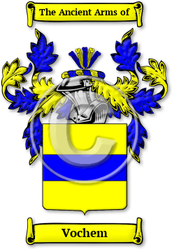 Vochem Family Crest Download (jpg) Legacy Series - 150 DPI