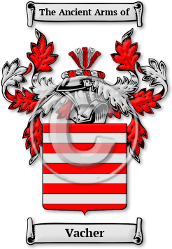 Vacher Family Crest Download (JPG) Legacy Series - 600 DPI