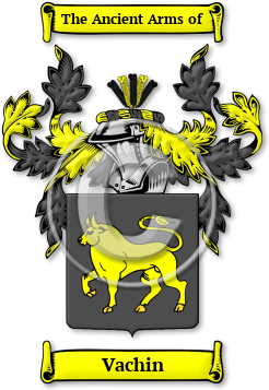 Vachin Family Crest Download (jpg) Legacy Series - 150 DPI