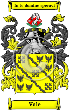 Vale Family Crest Download (JPG) Heritage Series - 600 DPI