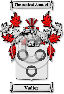 Vadier Family Crest Download (jpg) Legacy Series - 150 DPI
