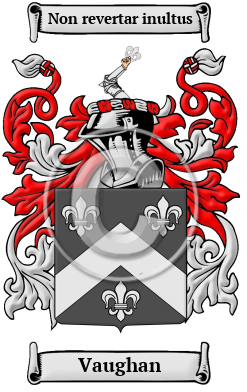 Vaughan Family Crest/Coat of Arms