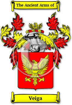 Veiga Family Crest Download (jpg) Legacy Series - 150 DPI