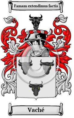 Vaché Family Crest Download (JPG) Heritage Series - 300 DPI
