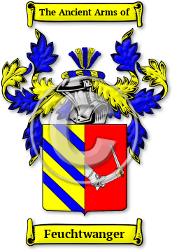 Feuchtwanger Family Crest Download (jpg) Legacy Series - 150 DPI